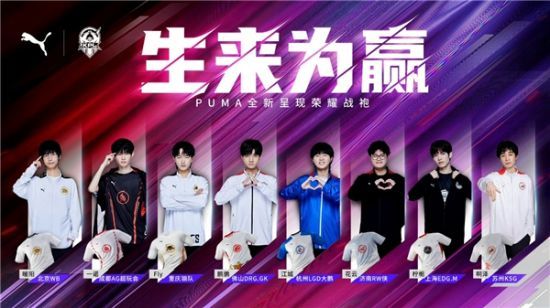 再组织形成 再组织形成